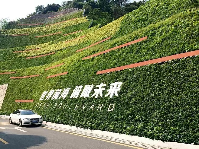 立体绿化设计施工哪家好？立体绿化设计施工厂家推荐
