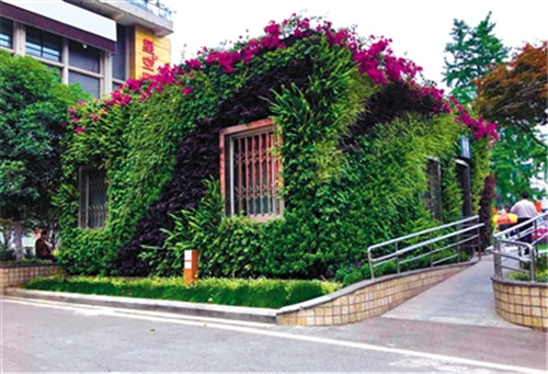 垂直绿化设计施工，助力成都园林城市森林城市建设