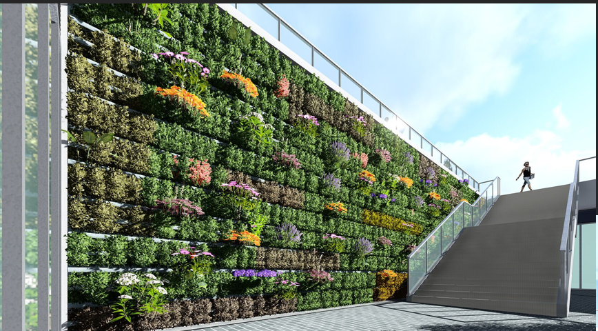 植物墙设计制作，净化空气,提升生活品质