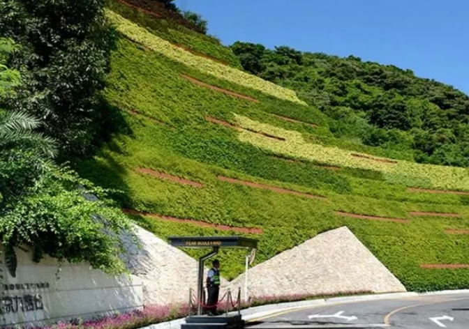 市政绿化11.jpg