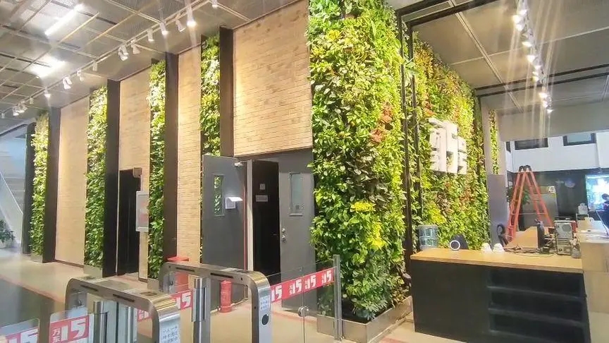 将自然融入都市生活,打造生机盎然的室内外植物墙空间