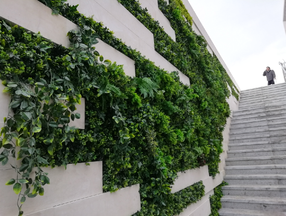 探索植物墙制作服务，为城市注入生机活力