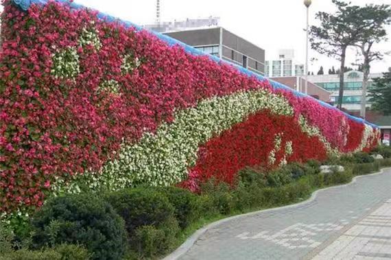 室内植物墙设计制作带来的自然生活魅力