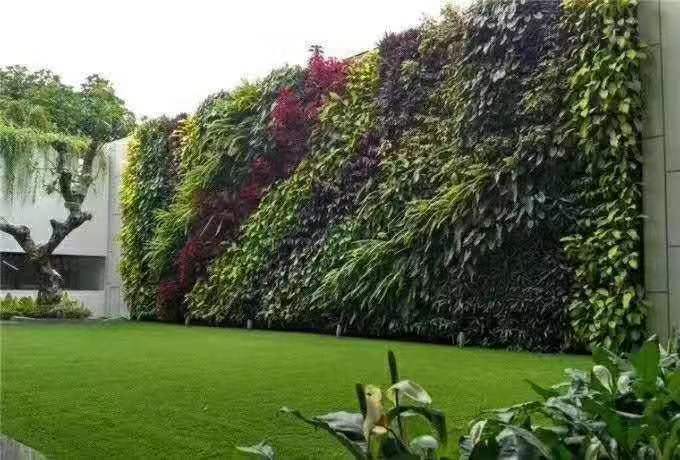植物墙制作安装,打造舒适居家环境