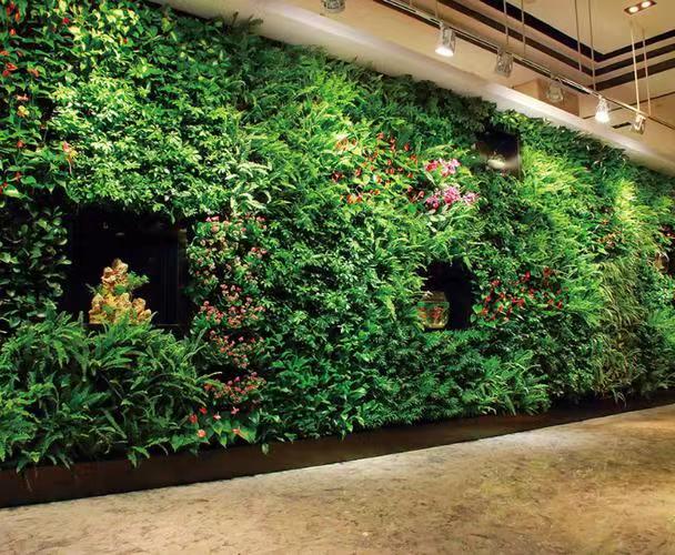 探索城市中绿化植物墙的绿色革新