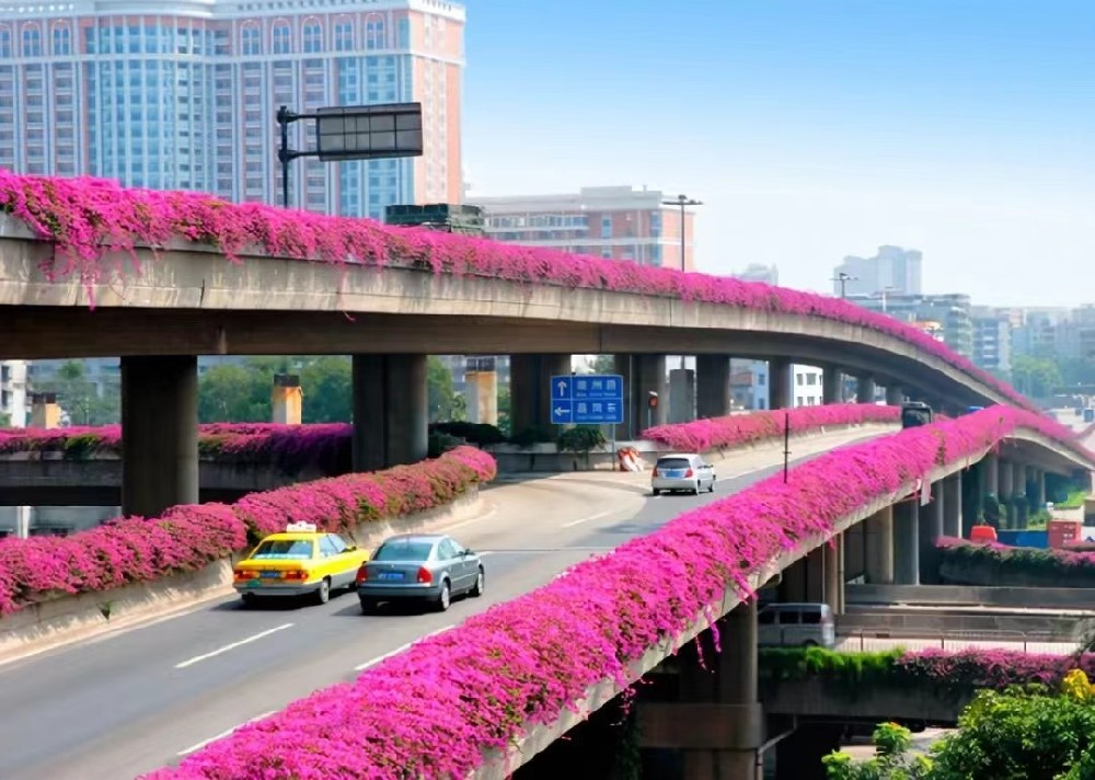 垂直绿化 高速路上的空中花园