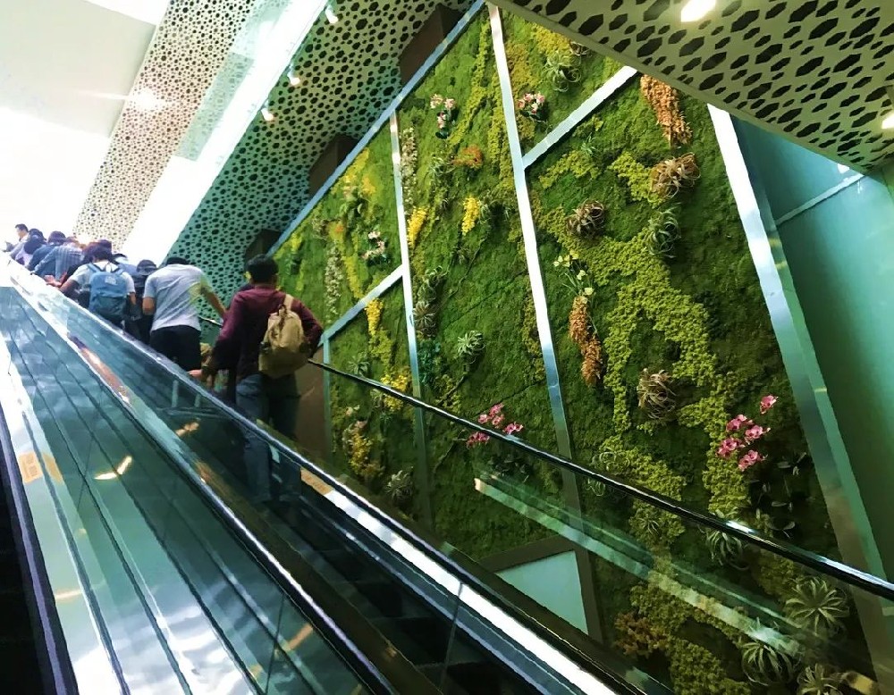 立体绿化空间设计与施工工艺流程