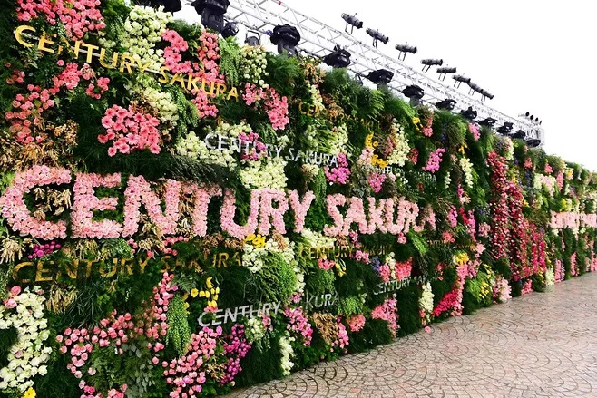 成都植物墙制作公司，成都新国际会展中心植物墙创意设计制作