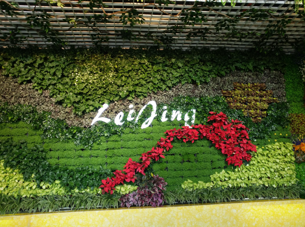 成都植物墙制作公司，成都龙湖锦宸天街植物墙设计制作