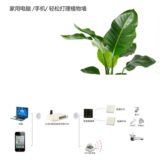 植物墙自动控制系统.png